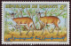 Timbre-poste Gommé Dentelé Neuf** - Protection De La Faune Dik-dik - N° 698 (Yvert Et Tellier) - Djibouti 1992 - Djibouti (1977-...)