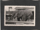 128145           Vietnam,   Elephant   Jardin  Botanique  Saigon,    NV(scritta) - Elephants