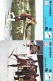 Delcampe - GF1860 - FICHES RENCONTRE - SKI DE FOND - Winter Sports