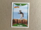 Italia - Madagascar - Le Grandi Avventure - Panorama Italy Edition - Dreamworks Pictures 2014 - Collection Trading Card - Altri & Non Classificati