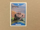 Italy Edition - How To Train Your Dragon 2 - Le Grandi Avventure - Dreamworks Pictures 2014 - Collection Trading Card - Other & Unclassified