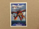 Italy Edition - How To Train Your Dragon 2 - Le Grandi Avventure - Dreamworks Pictures 2014 - Collection Trading Card - Other & Unclassified