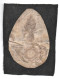 INSIGNE TISSUS BREVET SPECIALISTE PRIX DE TIR CORS DE CHASSE  GRENADE ?? 1900 1914 ???  A IDENTIFIER - Armée De Terre