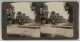 ETATS UNIS #PP1317 USA RIVERSIDE AVENUE DES MAGNOLIA CALIFORNIE 1900 - Stereo-Photographie