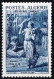 Année 1957-N°348 Neufs**MNH : Tableaux : Musée Des Beaux Arts D'Alger - Unused Stamps