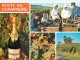 Vignes - La Route Du Champagne - Multivues - Bouteille De Champagne - Vendanges - Raisins - CPM - Voir Scans Recto-Verso - Vignes