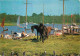 Animaux - Chevaux - Bucklers Hard - New Busy With Yachts And Tourists - Bateaux - CPM - Voir Scans Recto-Verso - Pferde