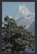 NEPAL - Postcard Is Sent From Nepal To Zagreb Via Air Mail, Nice Franking / 2 Scans - Nepal