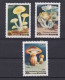 COREE DU NORD 1985 TIMBRE N°1794/94B NEUF** CHAMPIGNONS - Corea Del Norte