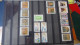 Delcampe - AZ140 Bel Ensemble De Timbres Et Blocs ** Du Vatican.  A Saisir !!! - Collections (with Albums)