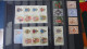 Delcampe - AZ140 Bel Ensemble De Timbres Et Blocs ** Du Vatican.  A Saisir !!! - Collections (en Albums)