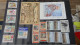 Delcampe - AZ140 Bel Ensemble De Timbres Et Blocs ** Du Vatican.  A Saisir !!! - Collections (with Albums)