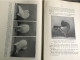Delcampe - De Kropperrassen Duiven Pigeons Gouda Koch En Knuttel Mooie Staat 1929 - Histoire