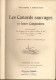 Delcampe - Ouvrage Sur La Chasse à La Hutte. 1907. TERNIER Louis - MASSE Fernand. LES CANARDS SAUVAGES ET LEURS CONGENERES. - 1901-1940