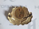 Romanian Communist 1950-1960's Cap Badge For Officer Hat - Sin Clasificación