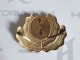 Romanian Communist 1950-1960's Cap Badge For Officer Hat - Unclassified