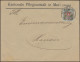 Portofreiheitsmarke 5I Alpenrose EF Brief Kantonale Pflegeanstalt MURI 29.1.1918 - Oficial