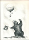 ! Ballonpostkarte, Wohlen Ballon Alpinit Aufstieg, 1955, Schweiz - Fesselballons