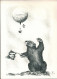 ! Ballonpostkarte, Wohlen Ballon Alpinit Aufstieg, 1955, Schweiz - Globos