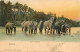 Pays - Sri Lanka - Ceylon Elephants - Animée - Colorisée - Précurseur - CPA - Voir Scans Recto-Verso - Sri Lanka (Ceylon)