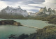 CHILI --1993---Parc National  TORRES DEL PAINE-- Panorama ....beau Timbre.......cachet  PUNTA ARENAS - Chili