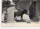 CL93. Vintage Postcard. Biskra, Algeria. The Return From The Oasis. Donkey - Biskra