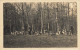 Chasse à Courre * Carte Photo * Meute Chiens Chasseurs Hunt Hunting * Au Dos Adresse Le Mans Sarthe - Sille Le Guillaume