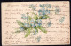 Argentina - 1905 - Embosed - Bouquet Of Blue Flowers - Flowers