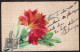 Argentina - 1905 - Flowers - Carnation Drawing - Flowers