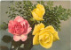 Thèmes. Fleurs. Roses 7 Cartes - Other & Unclassified