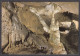 119288/ REMOUCHAMPS, La Grotte, La Vierge Et L'Enfant - Aywaille
