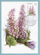 Carte Maximum Monaco 1985 - Plantes Du Parc National Du Mercantour - YT 1462 - Saxifraga Florulenta - Maximum Cards