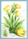 Carte Maximum Monaco 1985 - Plantes Du Parc National Du Mercantour - YT 1463 - Fritillaria Moggridgei - Maximum Cards