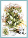 Carte Maximum Monaco 1985 - Plantes Du Parc National Du Mercantour - YT 1465 - Silene Cordifolia - Maximum Cards