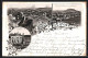 Vorläufer-Lithographie Weipert /Erzgebirge, 1895, Kaiser Josef II. Denkmal Mit Turnhalle, Panorama  - Tchéquie