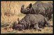 AK Indische Nashörner In Freier Natur  - Rhinozeros