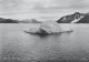 CPSM Norge-Svalbard,Cross Bay    L2791 - Noorwegen
