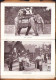 Delcampe - A Budapesti állatkert útmutatója, 1917, Budapest 714SPN - Libri Vecchi E Da Collezione