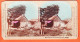 04571 / MANILA Bamboo Hut Bridge SPAIN 1899 Iles PHILIPPINES Manille Hutte Bambous Pont ESPAGNE KEYSTONE View Company  - Stereoscopic