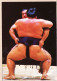 04809 / SUMO CROISE 1990 Photo Christian PETIT The Best Of VANDYSTADT N°31 NUGERON - Martial