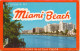 USA Underpaid Cover / Souvenir Of Maiami Beach 14 Views In Actual Color Complete Folder Sent To Denmark - Cartoline Ricordo