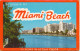 USA Underpaid Cover / Souvenir Of Maiami Beach 14 Views In Actual Color Complete Folder Sent To Denmark - Souvenirkaarten