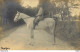 CARTE PHOTO NON IDENTIFIEE REPRESENTANT UN HOMME SUR UN CHEVAL A MONTJOIE - A Identifier