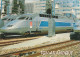 TGV 19 . 2 CPM . Sud-Est Et Atlantique . En Ligne Et En Gare . Photo Oldrich Karasek .Photo Chris Kapolka . Lyon . - Trains