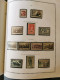 Delcampe - Album FRANCE 1849/1959 - Collections