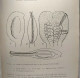 Les Spermatophytes - éléments De Botanique Systématique Et économique Des Plantes Supérieures - Unclassified