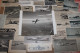Lot De 97g D'anciennes Coupures De Presse Et Photos De L'aéronef Américain Lockheed F-80 "Shooting Star" - Aviation