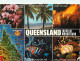 Australie - Australia - Queensland - Tropical Wonderland - Multivues - Poissons - CPM - Voir Scans Recto-Verso - Otros & Sin Clasificación