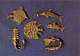 Cote D'ivoire  Ghana Poids Figuratifs Pour Peser L'or    28   (scan Recto-verso)MA2295Und - Elfenbeinküste