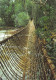 GABON Le Pont De Lianes De POUBARA  48 (scan Recto-verso)MA2295Und - Gabón